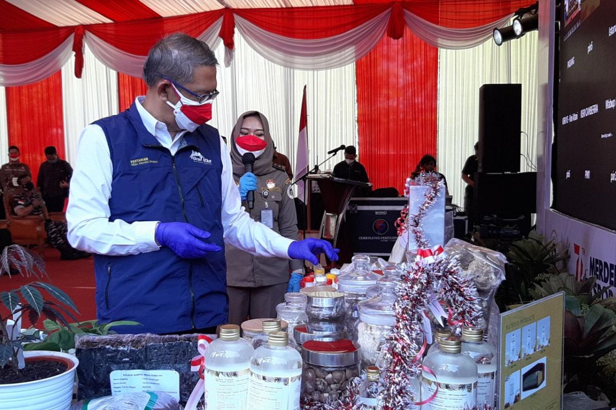 Sutarmidji terus dorong pertumbuhan sawit dan industrinya