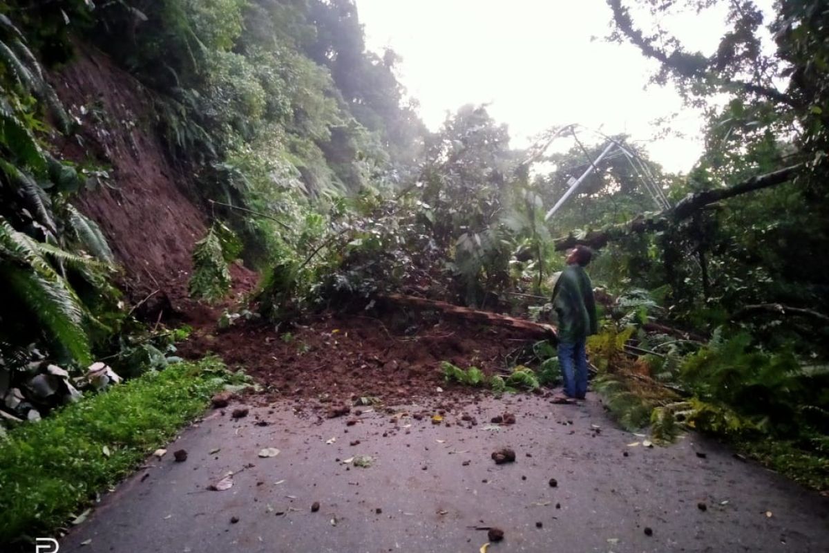 Jalan provinsi Malampah Pasaman yang tertimbun longsor, kini sudah bisa dilalui kendaraan