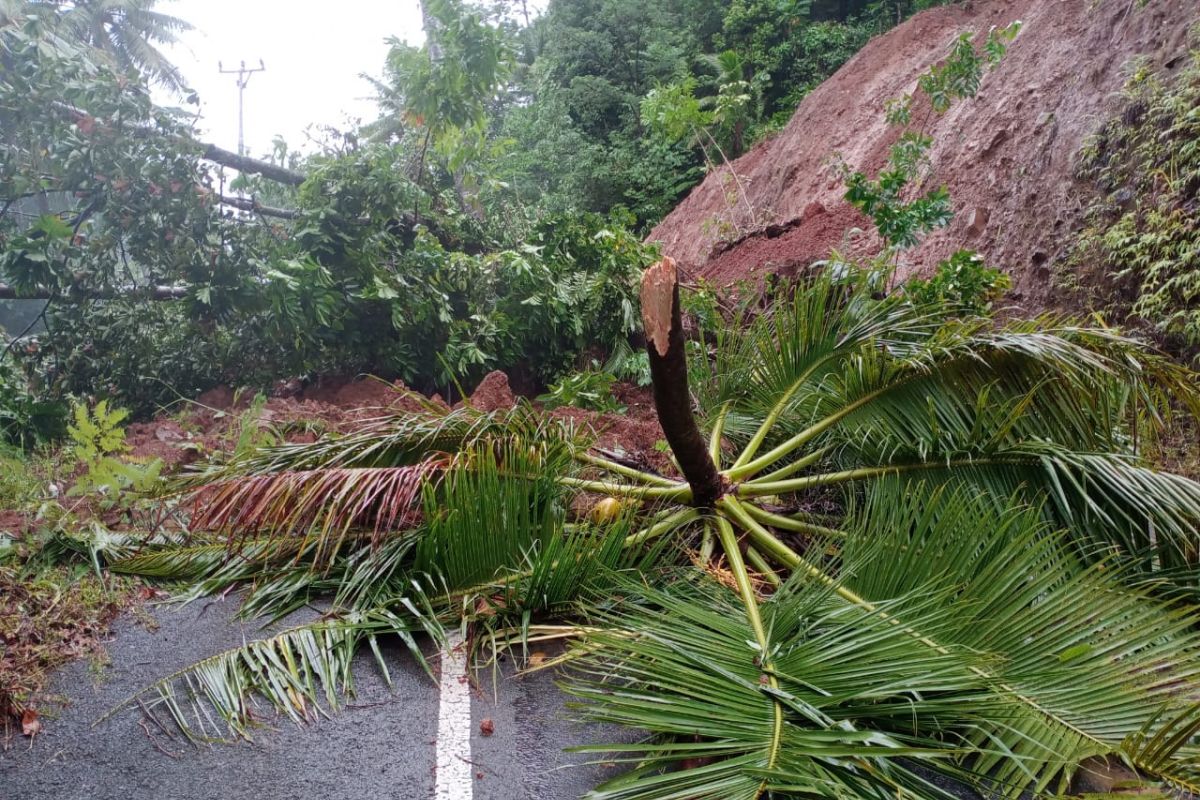 BPBD: Sebagian jalur jalan di Kabupaten Kepulauan Sangihe tertimbun longsor