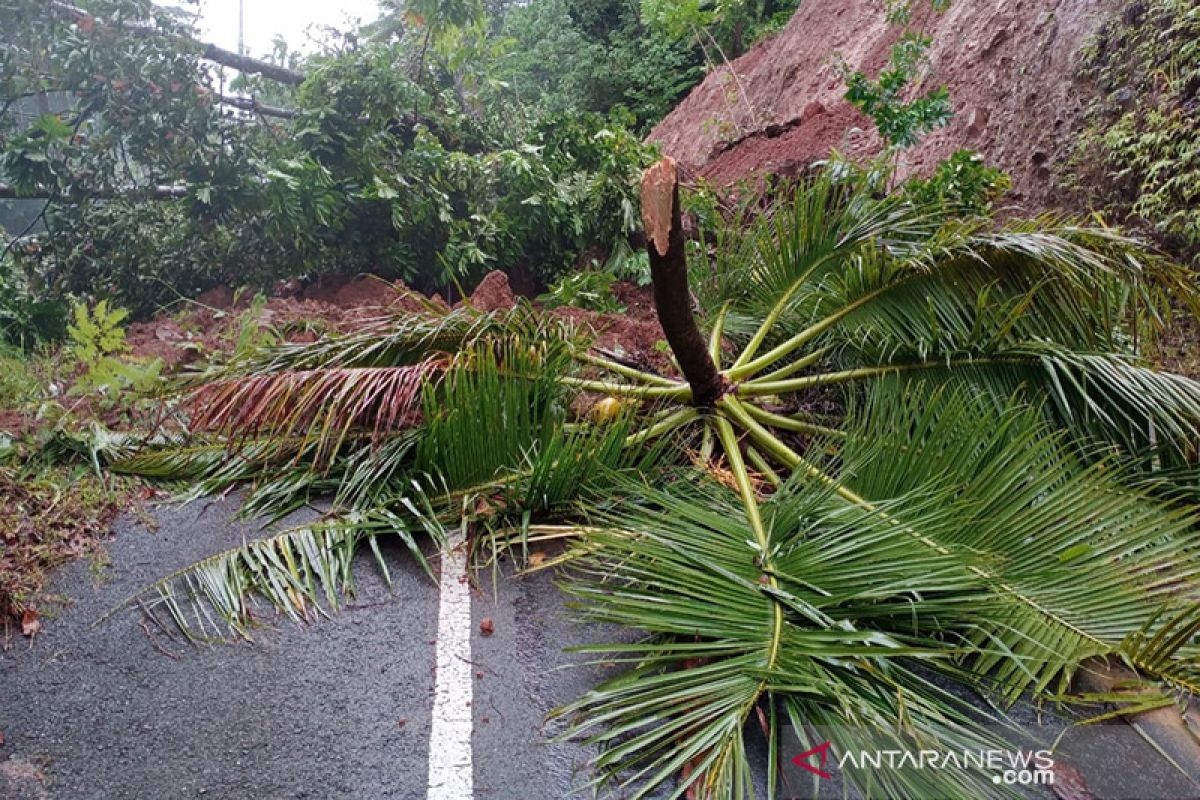 Sebagian jalur jalan di Kabupaten Sangihe tertimbun longsor