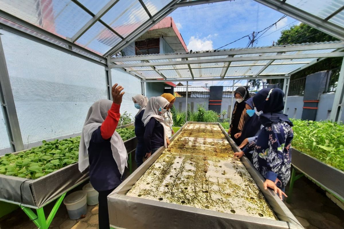 Pertamina tingkatkan keterampilan penghuni Lapas Perempuan bertani hidroponik