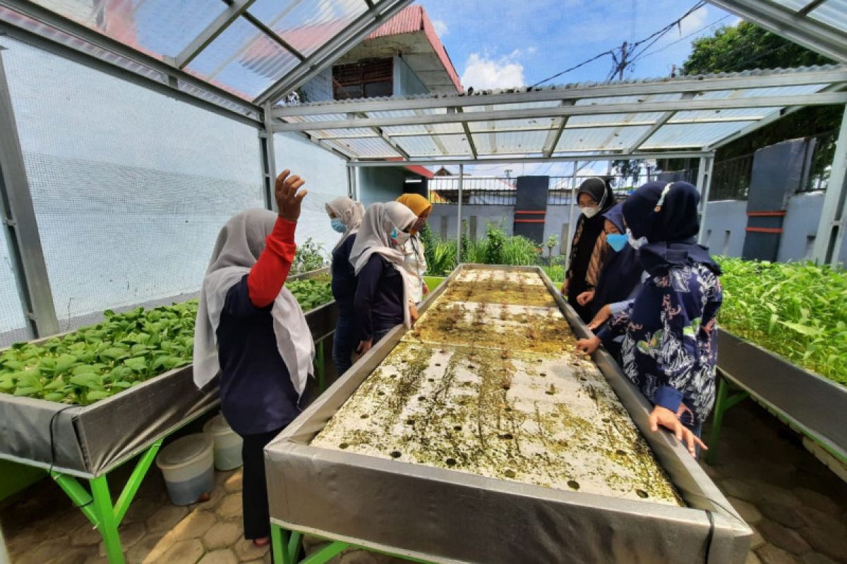 Pertamina tingkatkan keterampilan budi daya hidroponik penghuni Lapas Perempuan Palembang