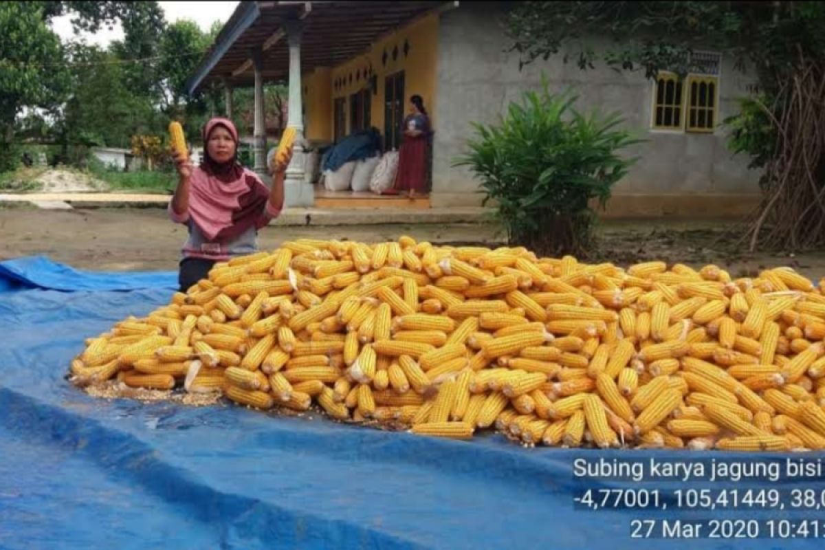 Pemprov Lampung dorong petani dan peternak bentuk korporasi