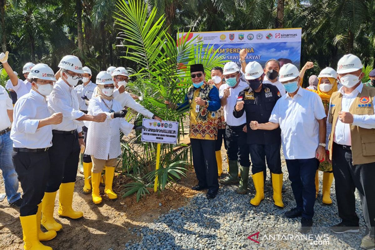 Vaksinasi COVID-19 dan peremajaan sawit dilakukan bersamaan di Kalsel