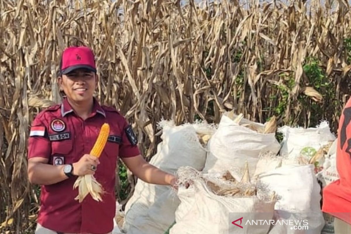 Rutan Labuhan Deli panen raya jagung sebanyak 25 ton