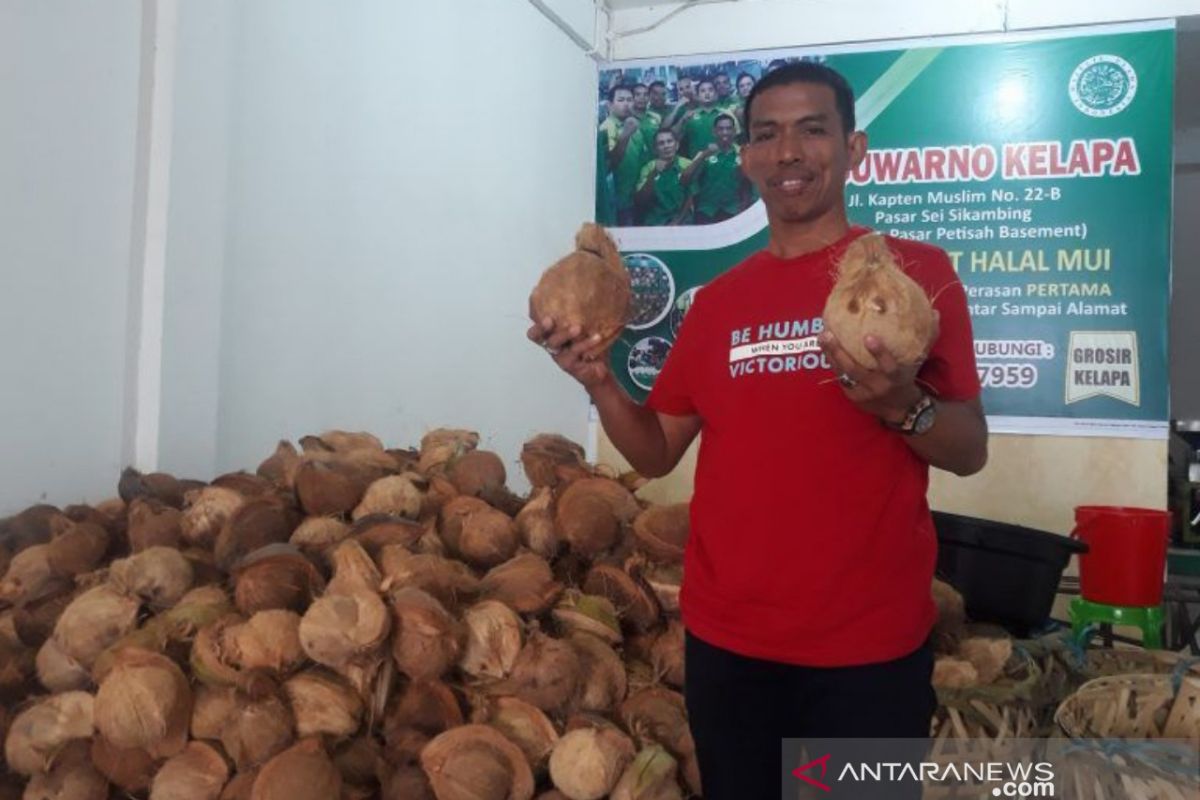 Tukang kelapa jadi Dirut Perumda Pasar Kota Medan