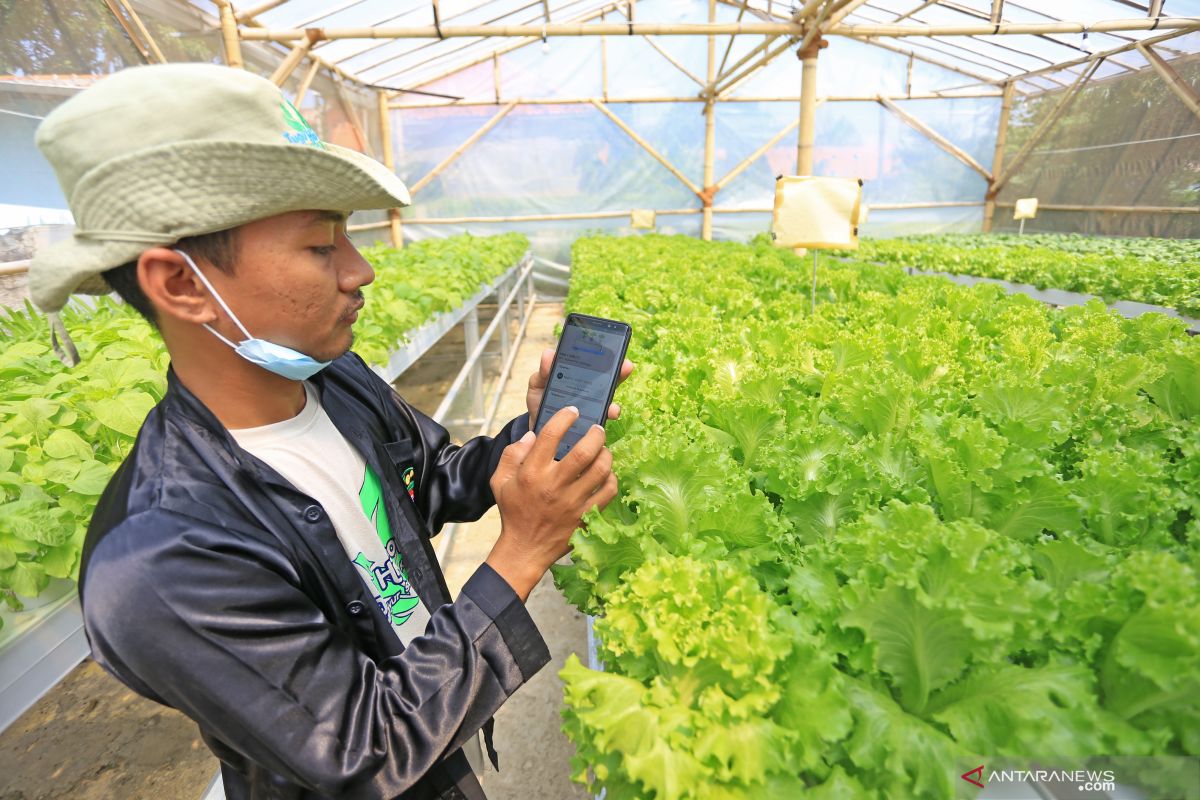 Atdikbud Canberra dorong mahasiswa jadi pelopor digitalisasi pertanian