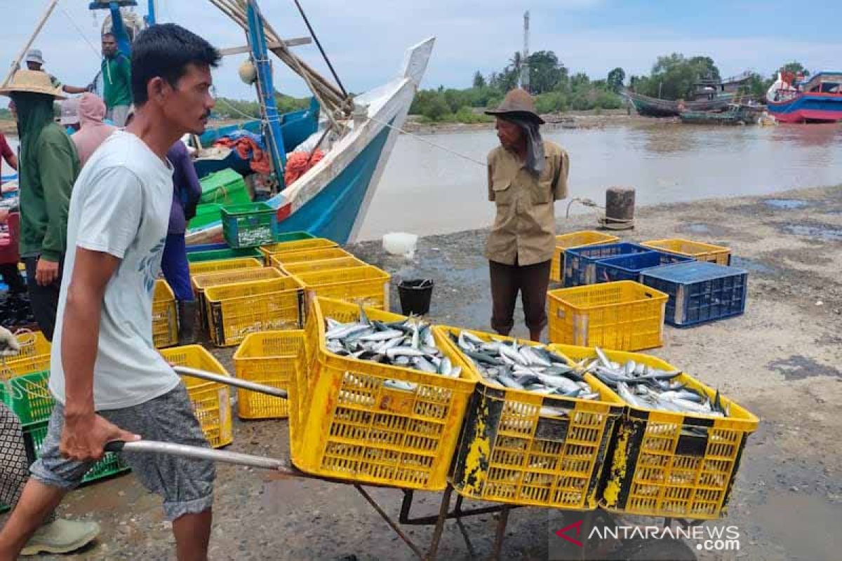 Harga ikan di Aceh Timur stabil