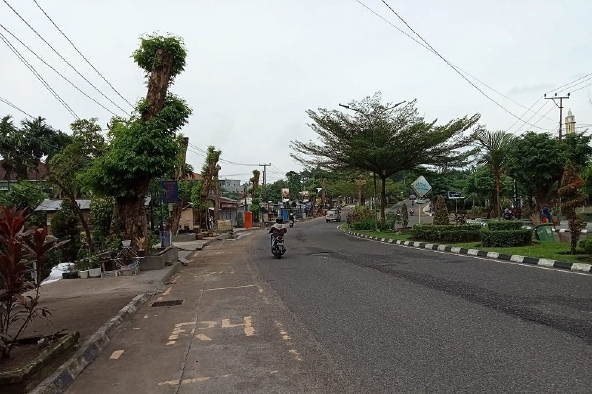 Dipangkas demi keselamatan pengendara