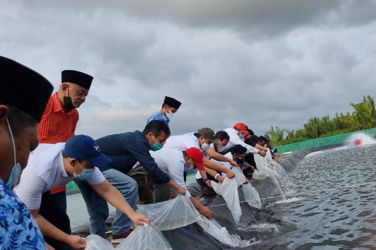 BUMN diminta mengoptimalkan lahan produktif untuk ekonomi rakyat