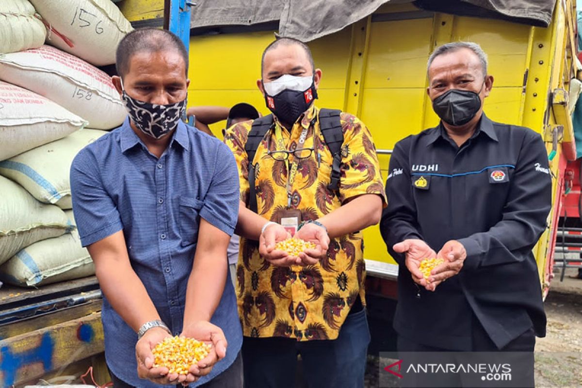 Presiden kirimkan bantuan jagung untuk Suroto, peternak ayam Blitar