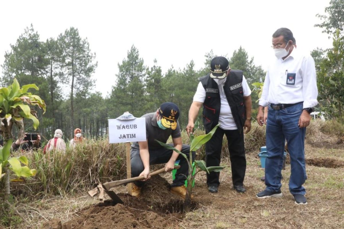 Wagub Emil Dardak sebut sektor pertanian harus miliki kebijakan agribisnis