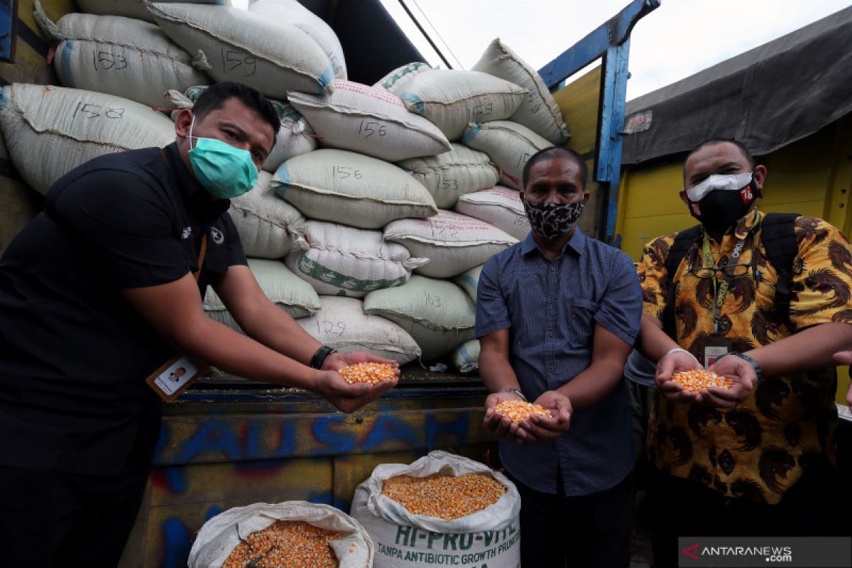 Ministry provides 1,000 tons of corn feed to farmers