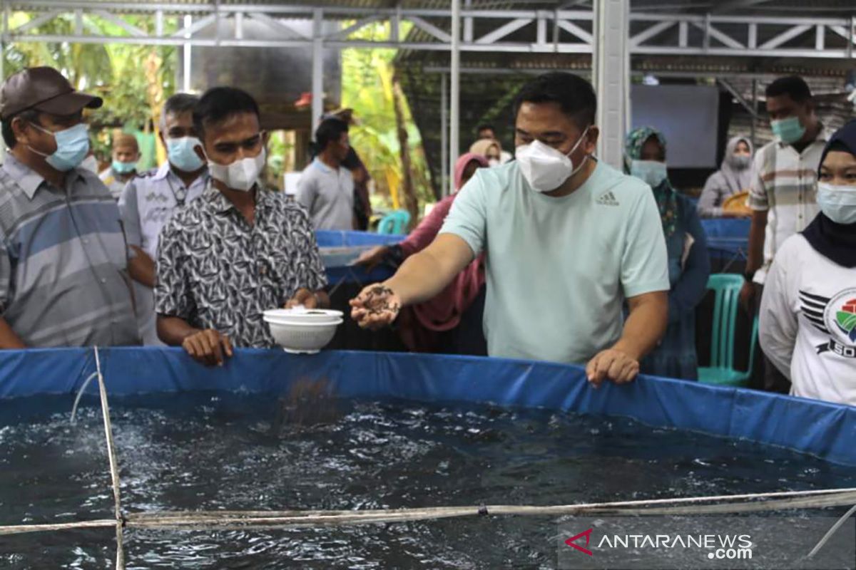 Pemkab Bone Bolango dorong pengembangan transaksi digital tambak ikan