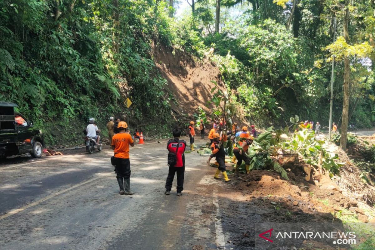 Longsor dan pohon tumbang di jalur Gumitir, petugas berlakukan sistem buka tutup