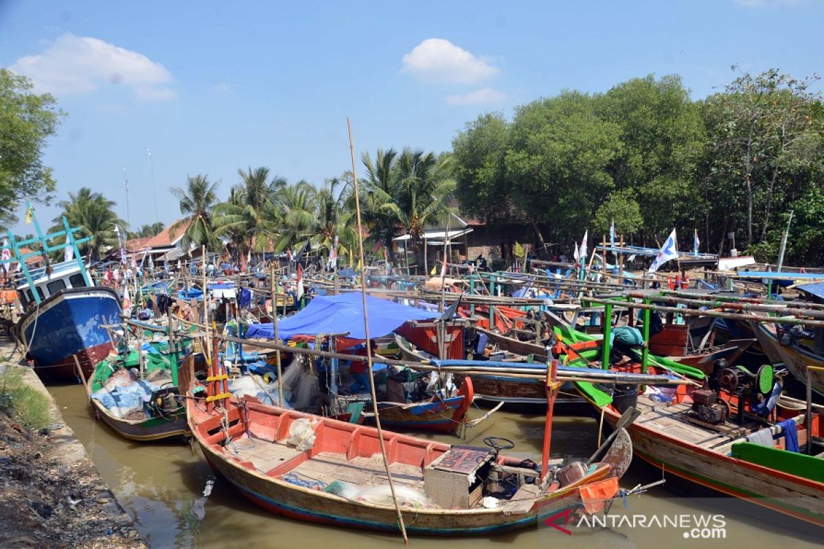 Karawang butuh pelabuhan perikanan untuk gali potensi perikanan tangkap