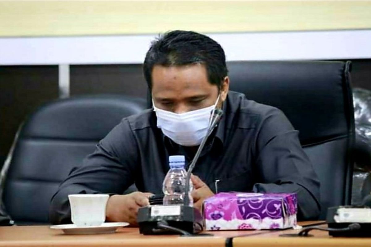 Legislator Seruyan soroti pengadaan mobil seharga Rp2,5 miliar saat pandemi