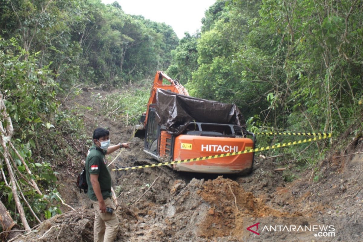 Pembukaan lahan di Batu Harang Haruyan tidak masuk hutan lindung