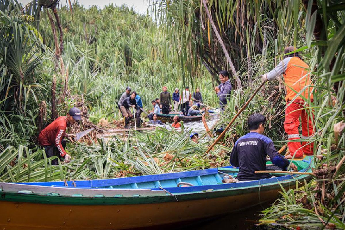 Tim gabungan bersihkan jalur patroli Karhutla di  Sungai Sebangau