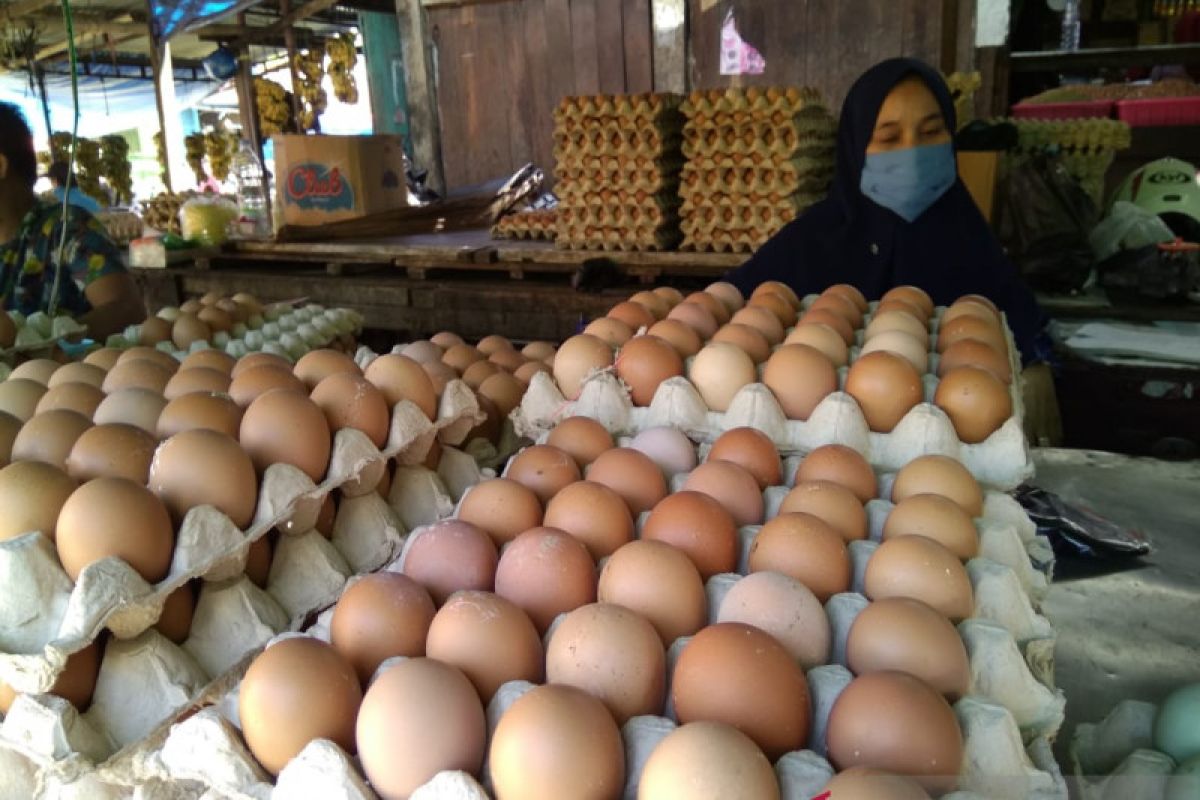 Harga telur dan ayam ras di pasar tradisional Makassar bergerak naik