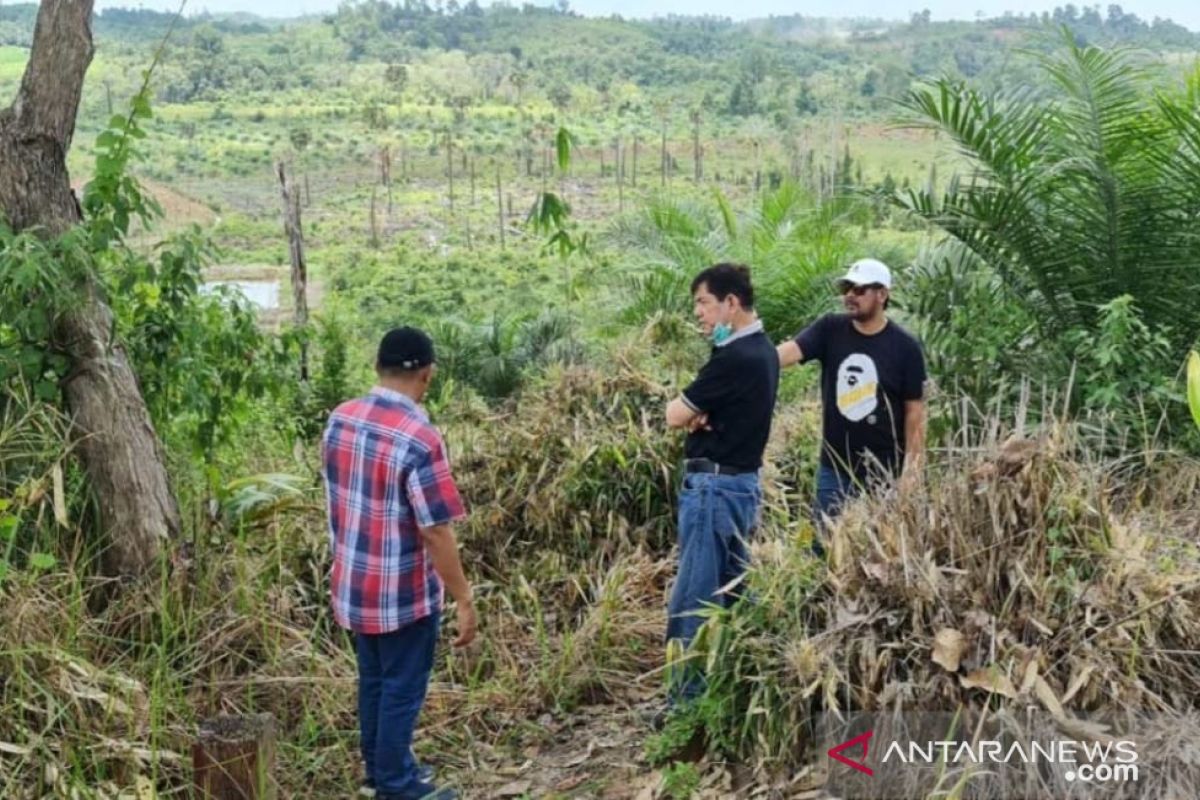 Kaimantan Timur jadi proyek percontohan PLTS 100 MW