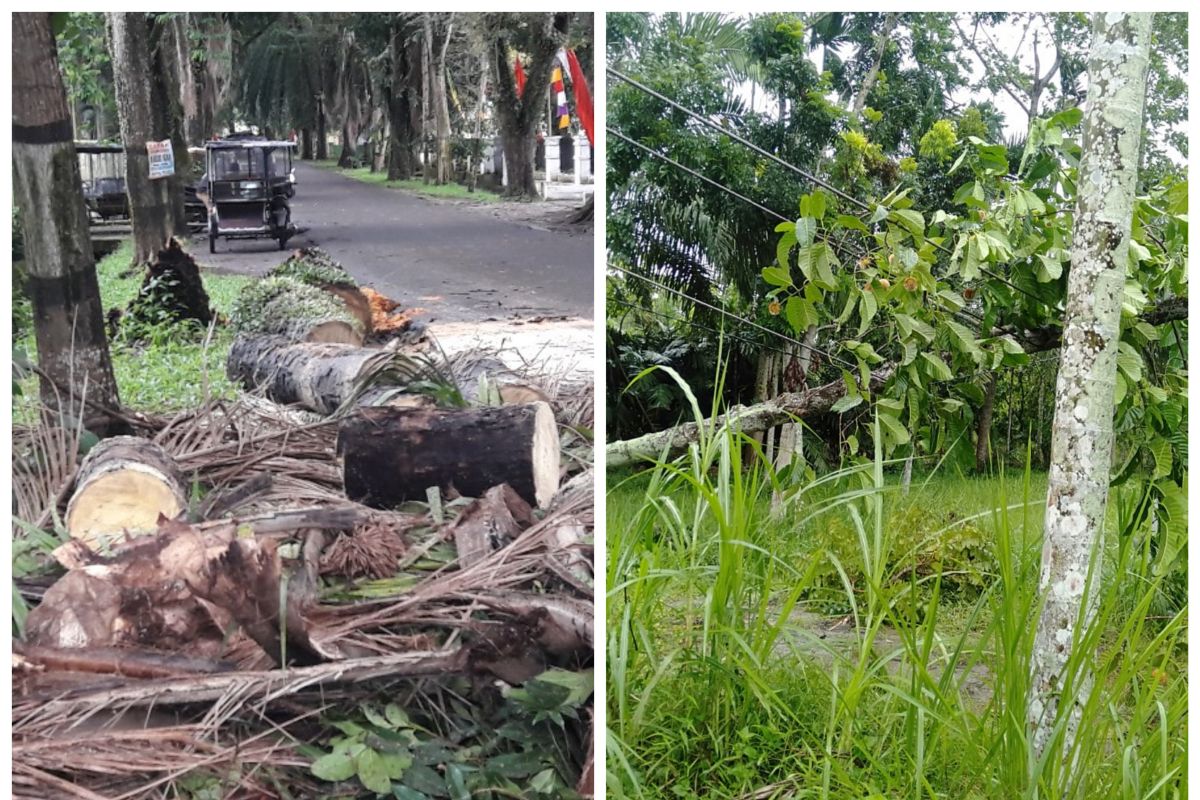 Hujan deras dan angin kencang landa Kecamatan Stabat