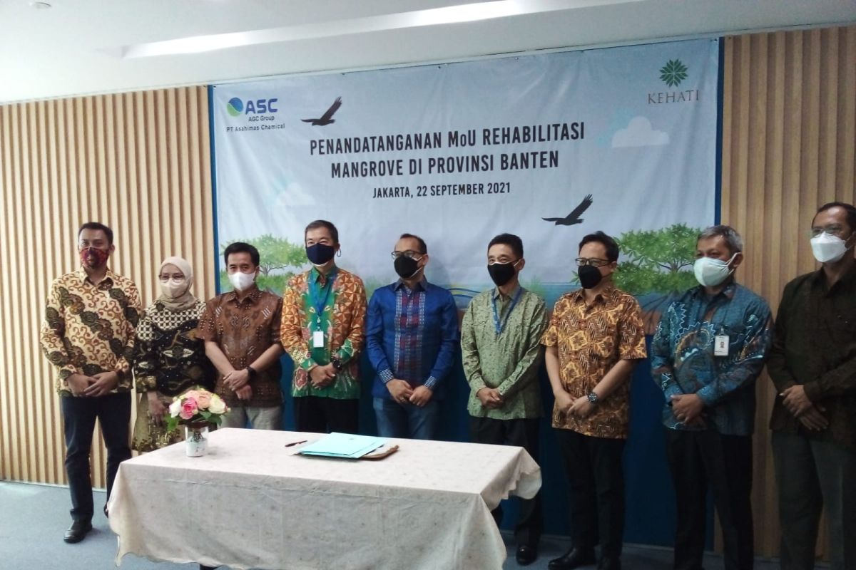 Indonesia menggalakkan Program "Mangrove Blue Carbon"