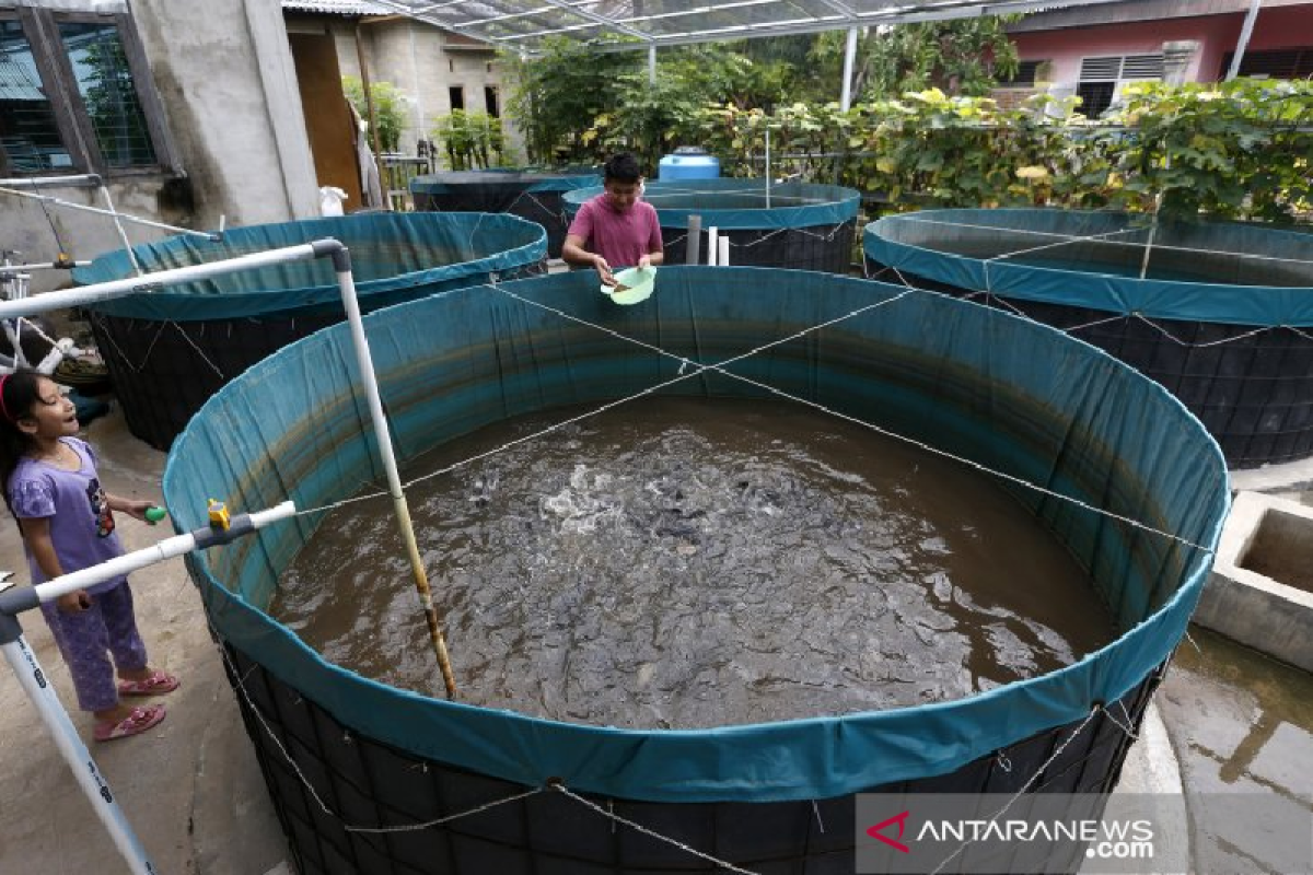 Pemkab Aceh Selatan jadikan budi daya bioflok program unggulan