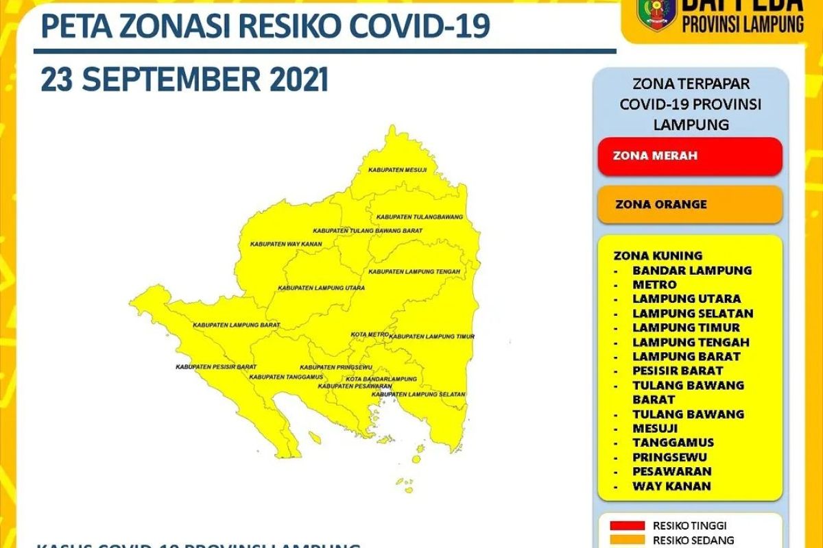Dinkes laporkan kasus harian COVID-19 di Lampung bertambah 52