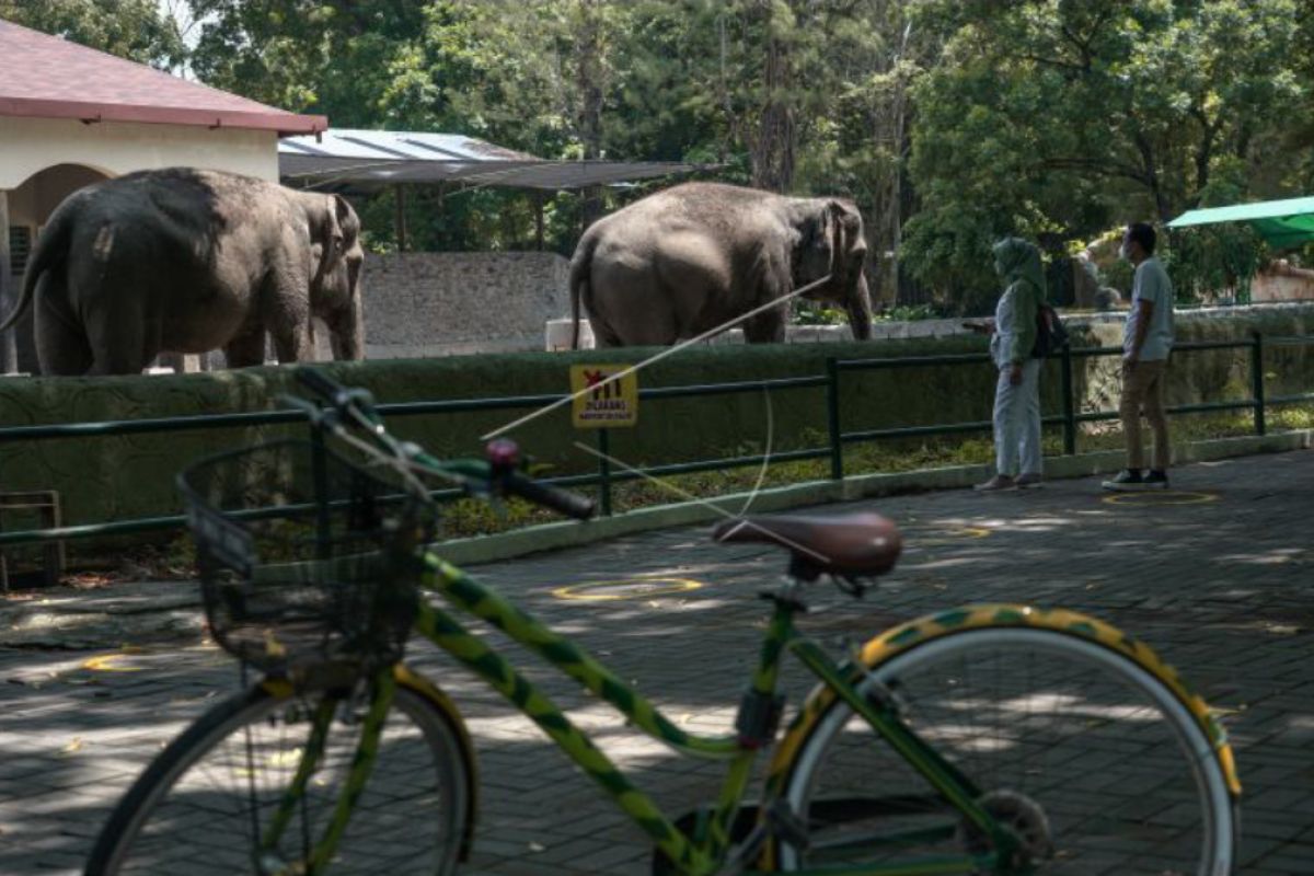 Gembira Loka Zoo menolak seratusan pengunjung dalam sehari