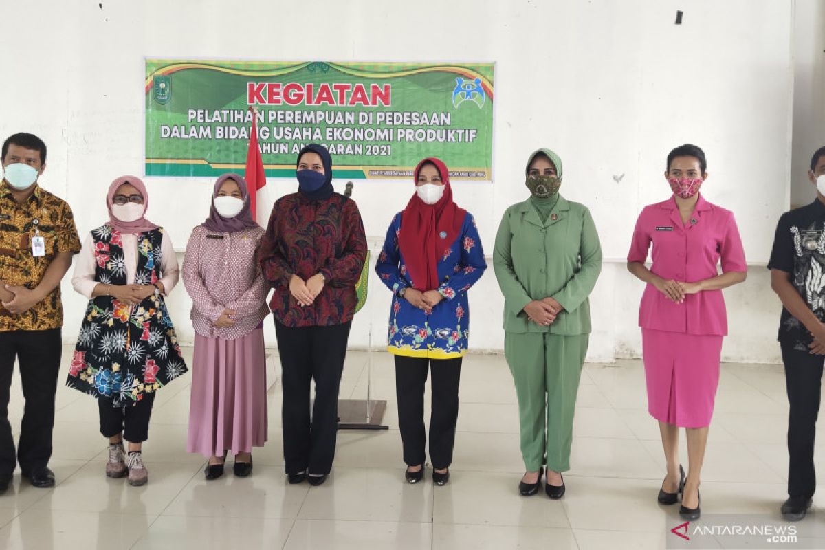 25 perempuan ikuti pelatihan usaha ekonomi produktif