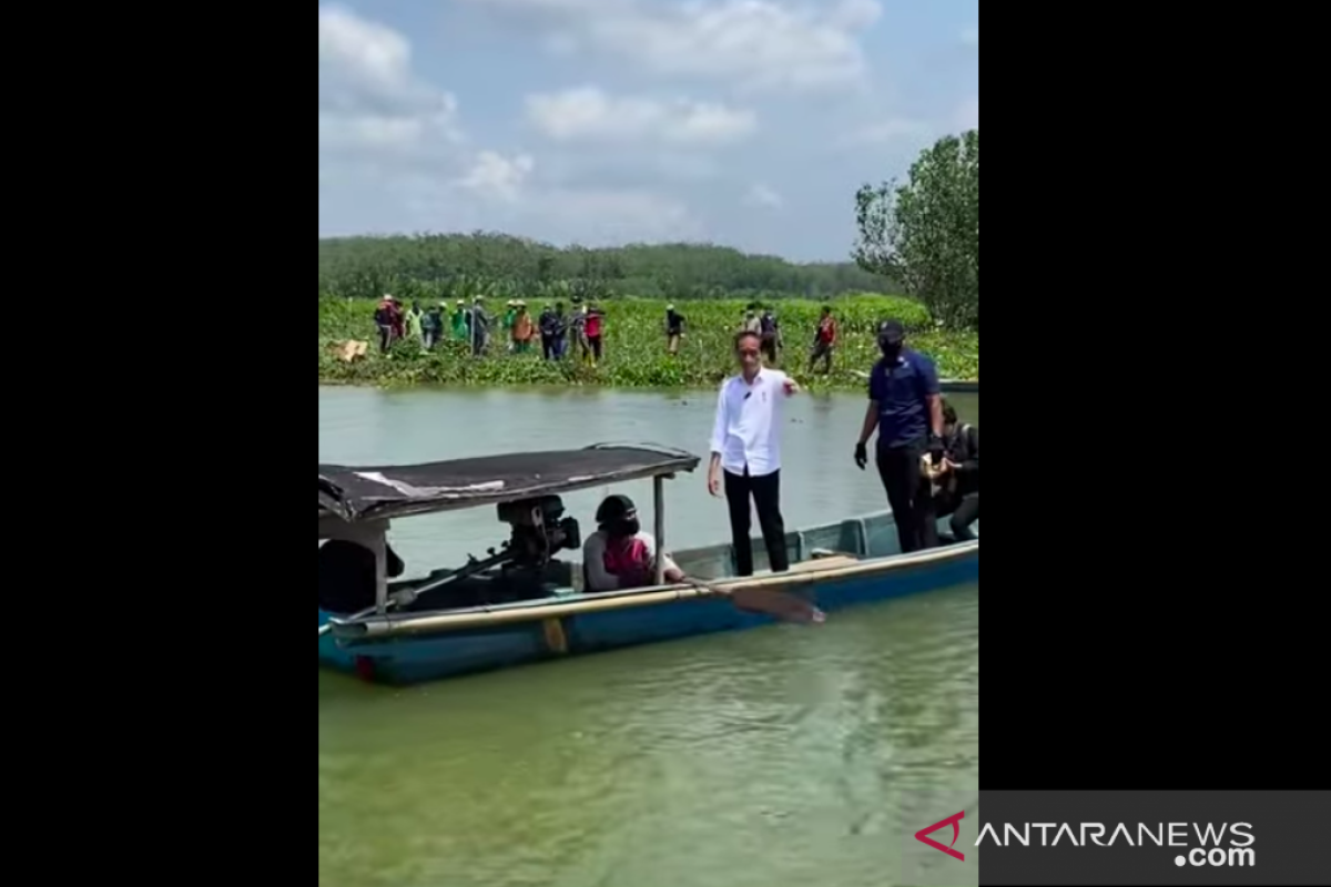 Dengan menaiki perahu, Presiden Jokowi sapa warga Desa Tritih Kulon Cilacap