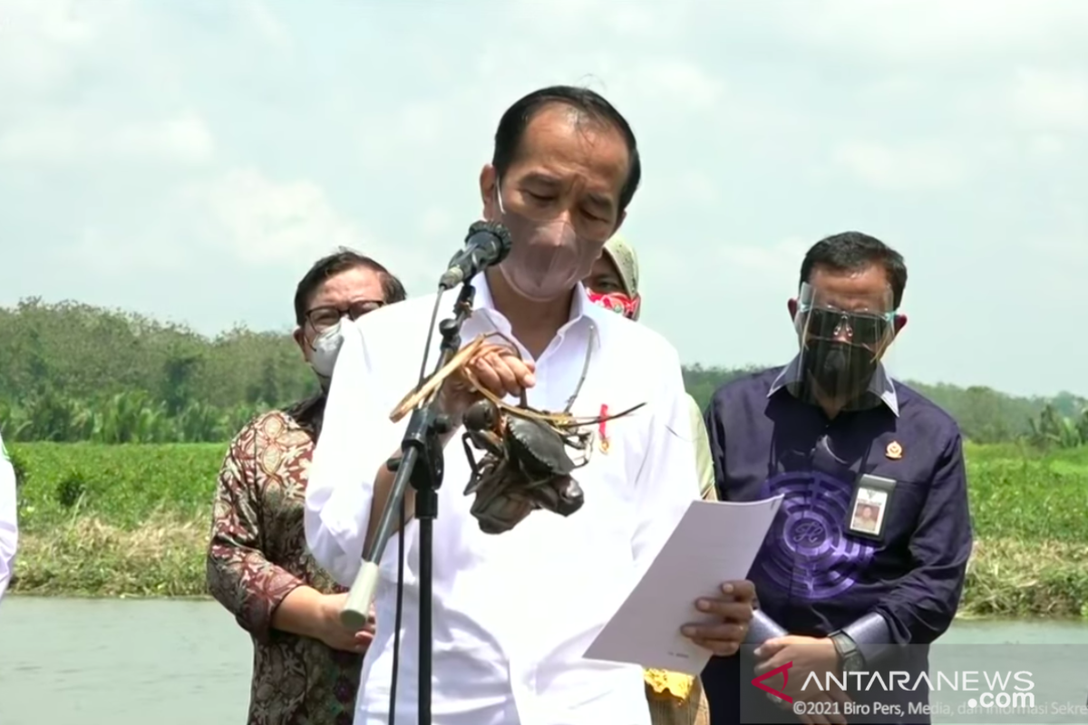 Presiden Jokowi tanam mangrove di Cilacap antisipasi perubahan iklim