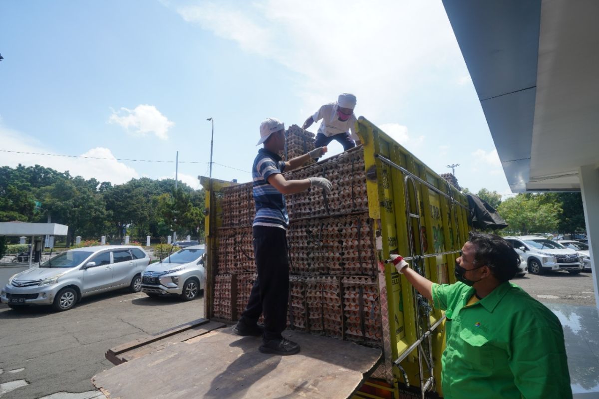 PT Berdikari serap 34 ton telur ayam dari peternak