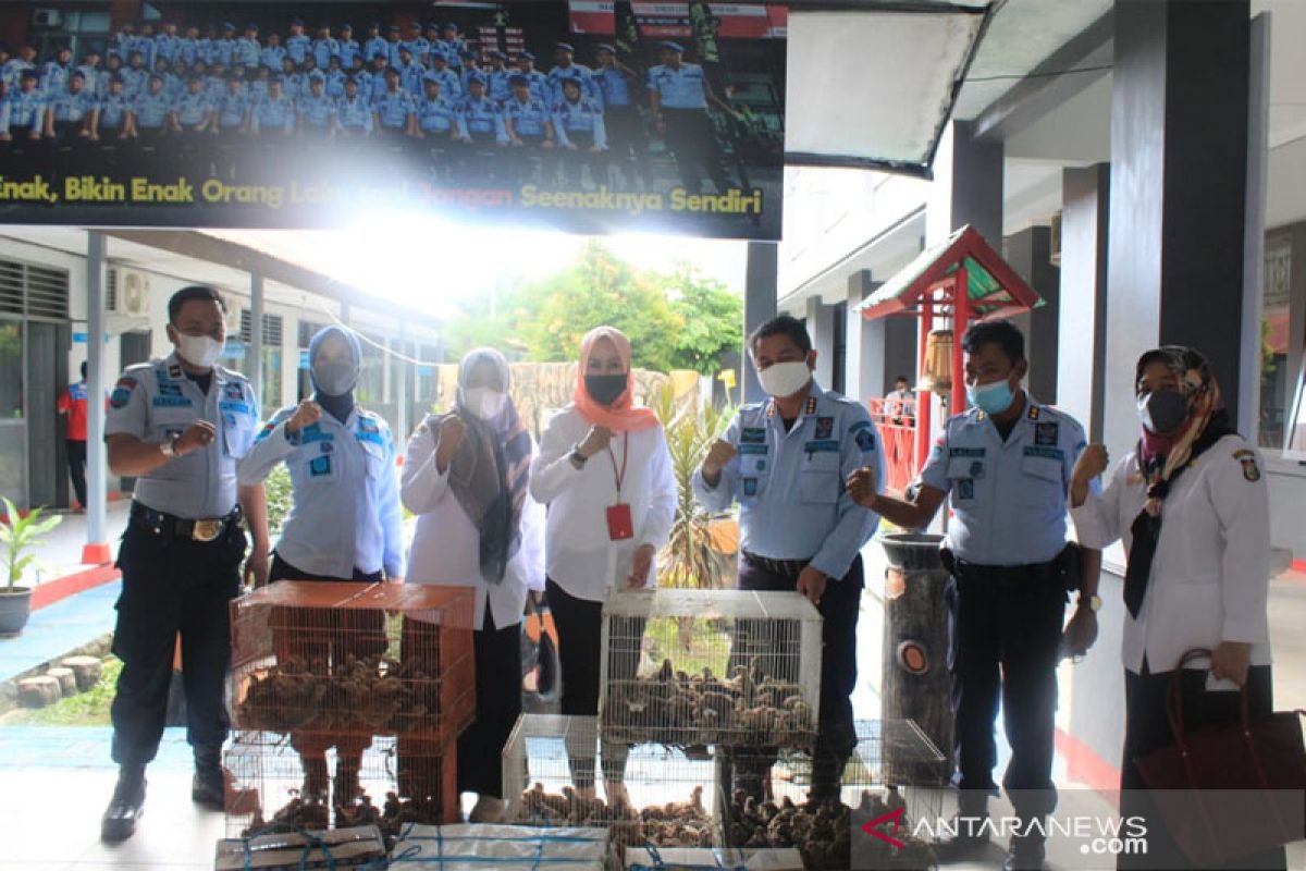 Lapas Makassar bekali warga binaan budi daya burung puyuh