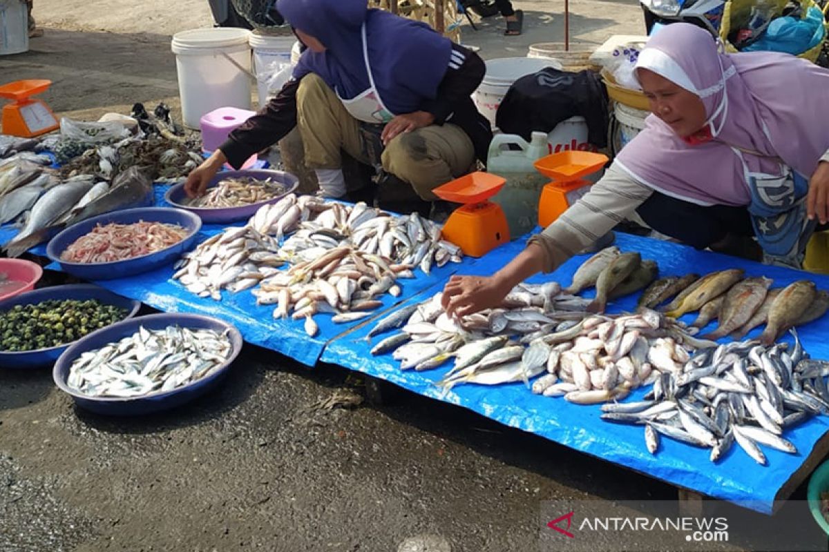 Akibat cuaca buruk, harga ikan laut di Bengkulu naik