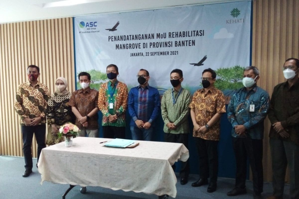 Indonesia terus galakkan Program "Mangrove Blue Carbon"
