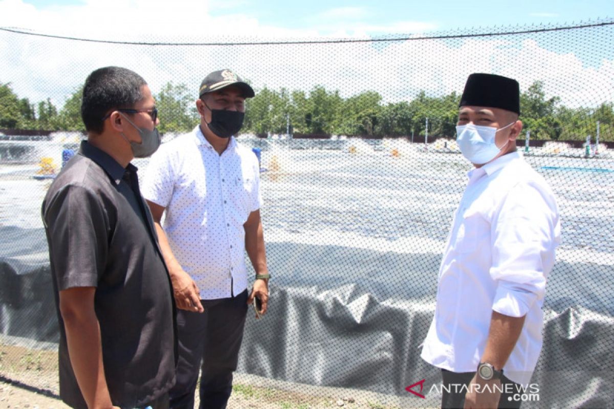 DPRD Agam dorong kemudahan izin udang vaname