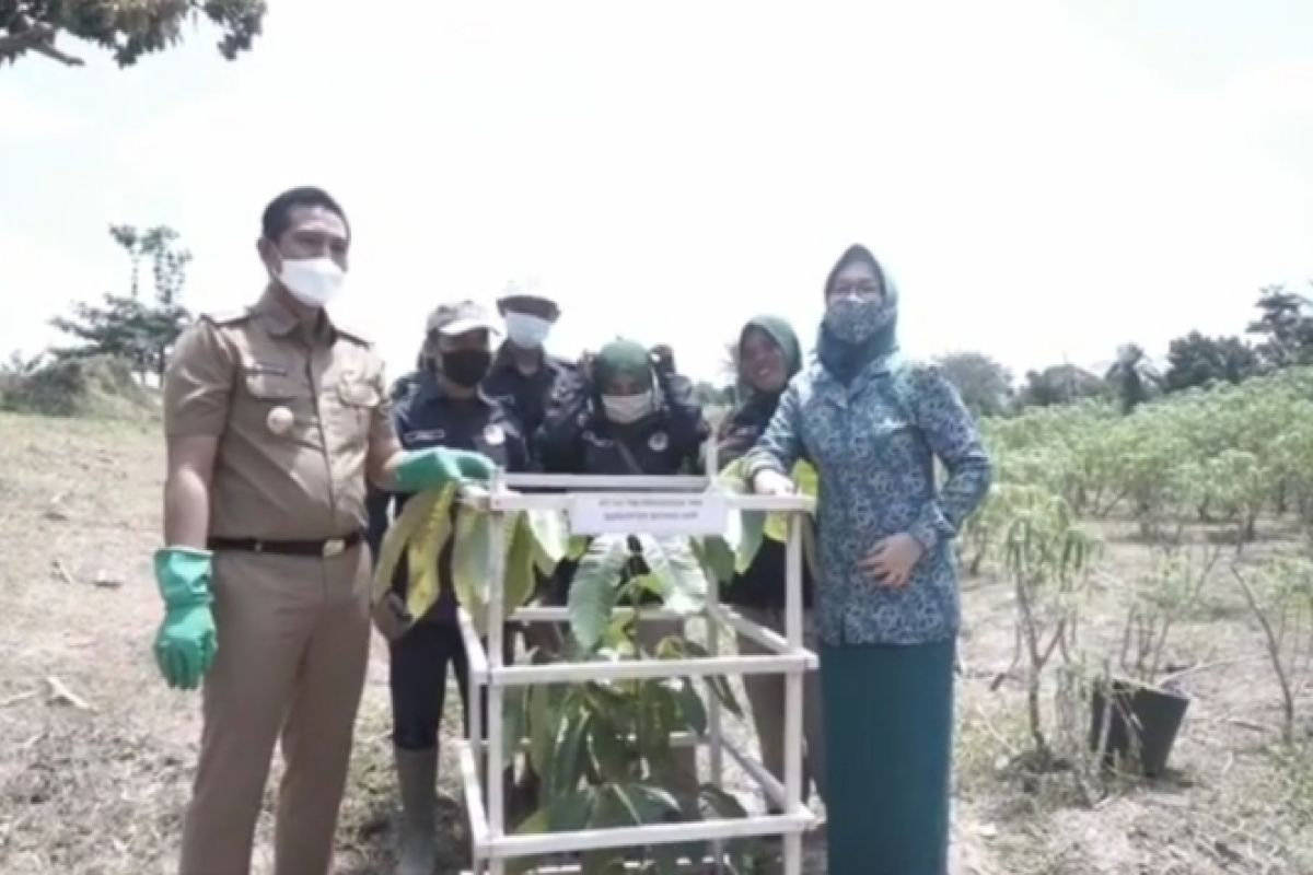 Bupati Fadhil tanam pohon Gerakan Penanaman 1000 Pohon Pelindung