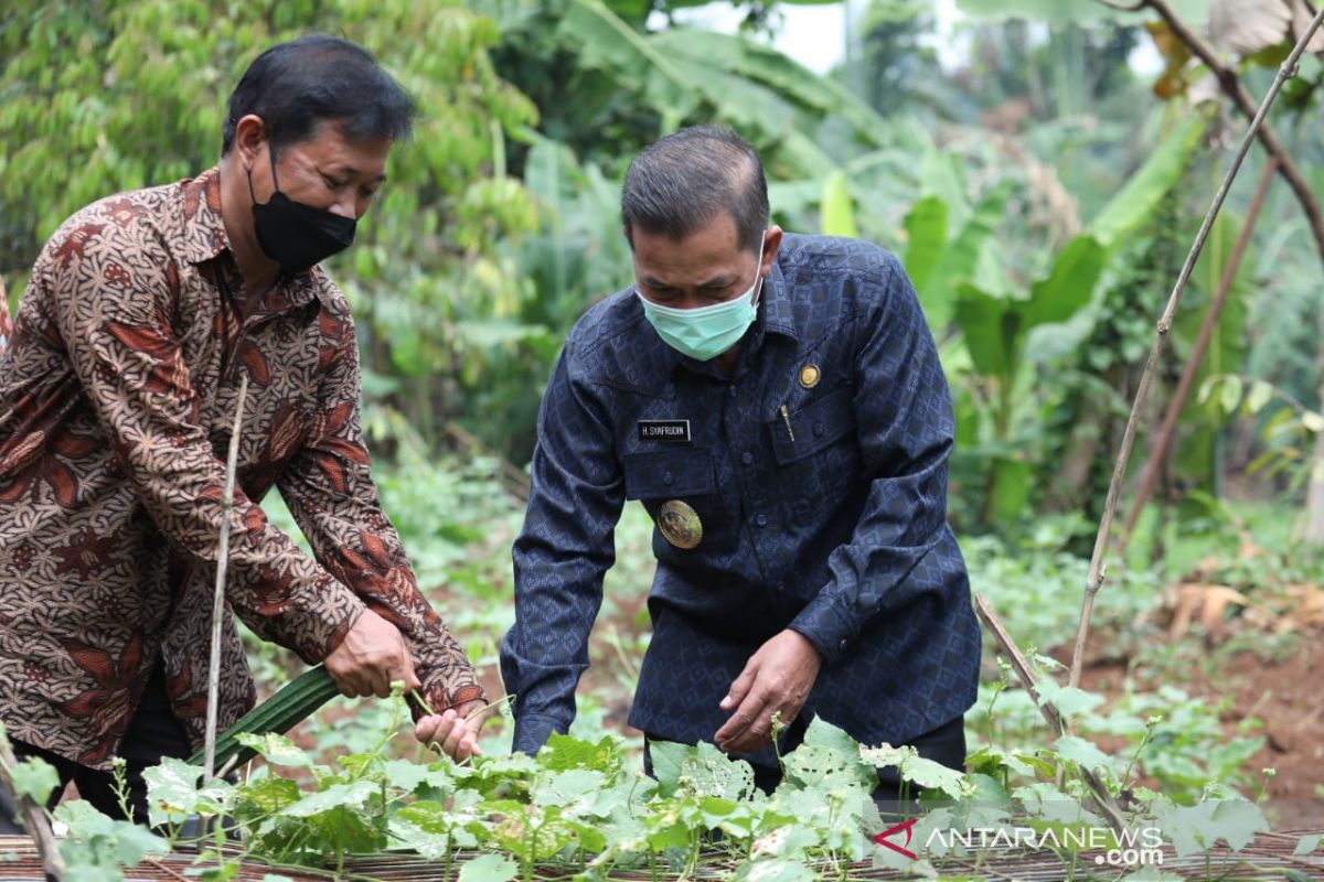 Wali Kota Serang meresmikan rintisan kampung wisata edukasi