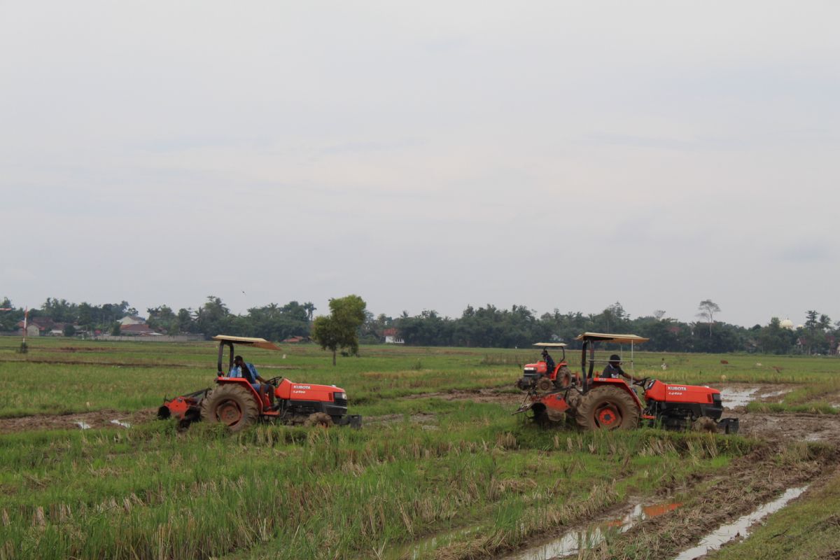 Ombudsman nilai peran pemerintah penting dorong kesejahteraan petani