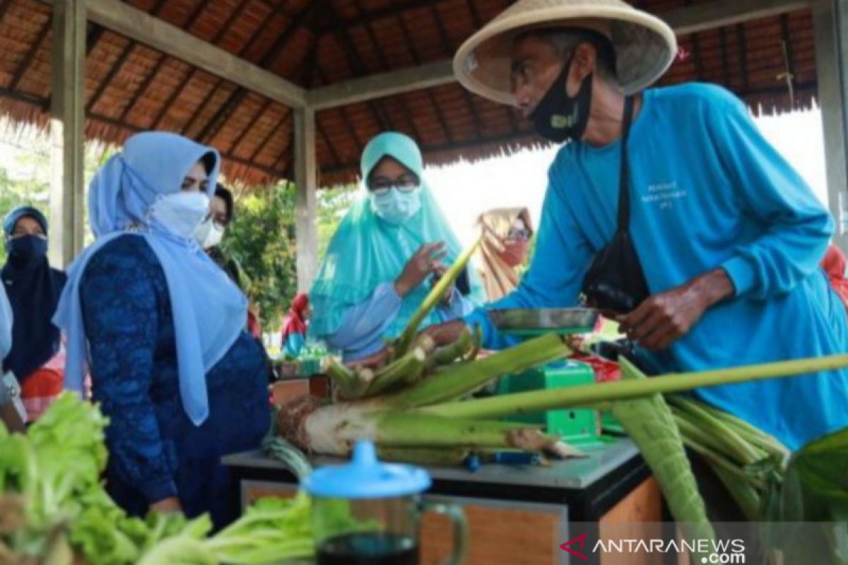 Pemkot Tanjungpinang siapkan bantuan alat penunjang pertanian