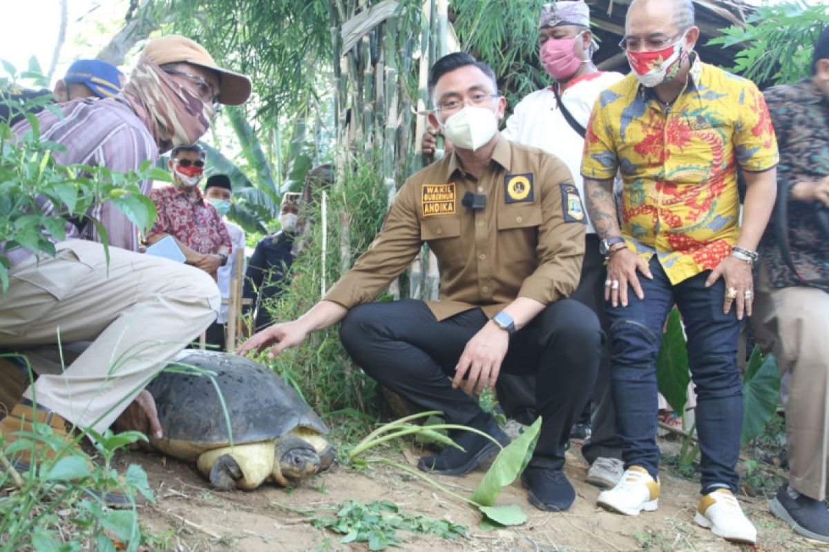Hari Sungai Sedunia, Wagub Andika Hazrumy melepasliarkan kura-kura ke Cisadane
