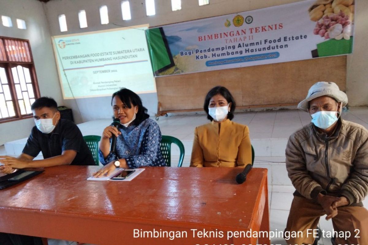 Perkuat jejaring, 55 pendamping Food Estate Humbahas ikuti bimtek