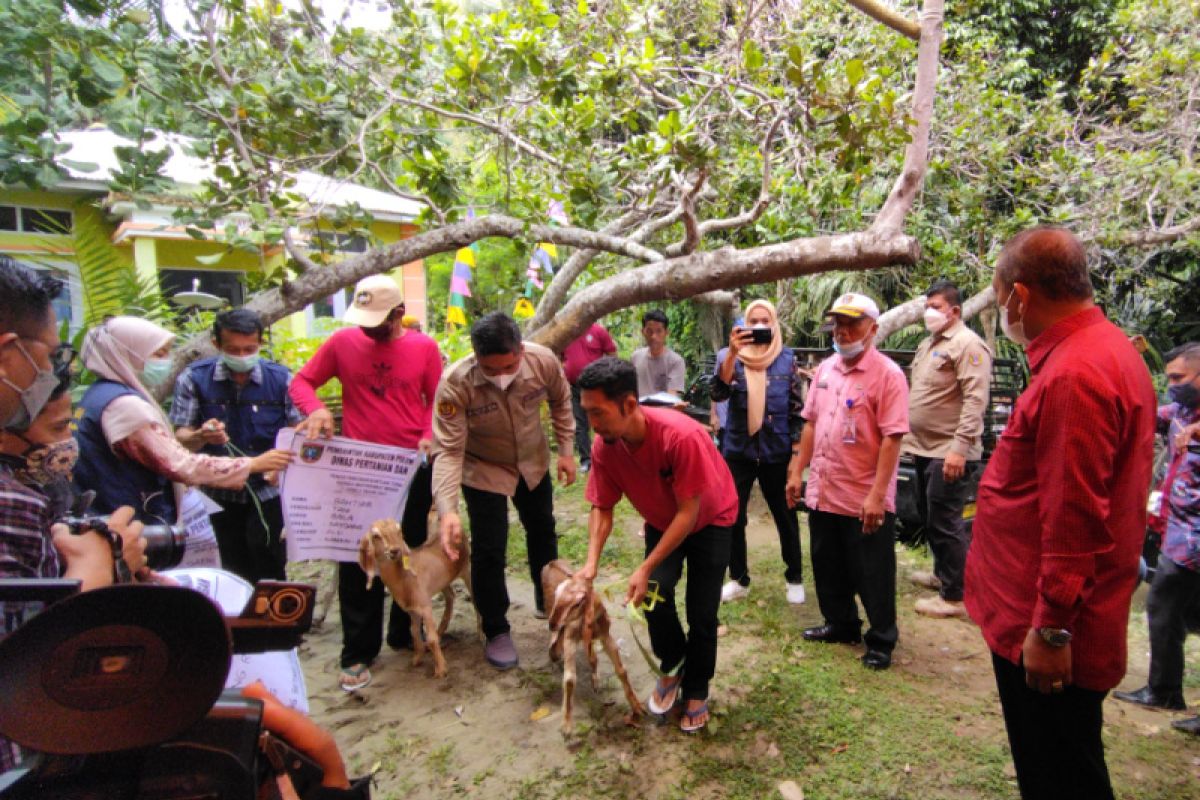 Bupati Polewali Mandar minta masyarakat kreatif dan inovatif kembangkan peternakan