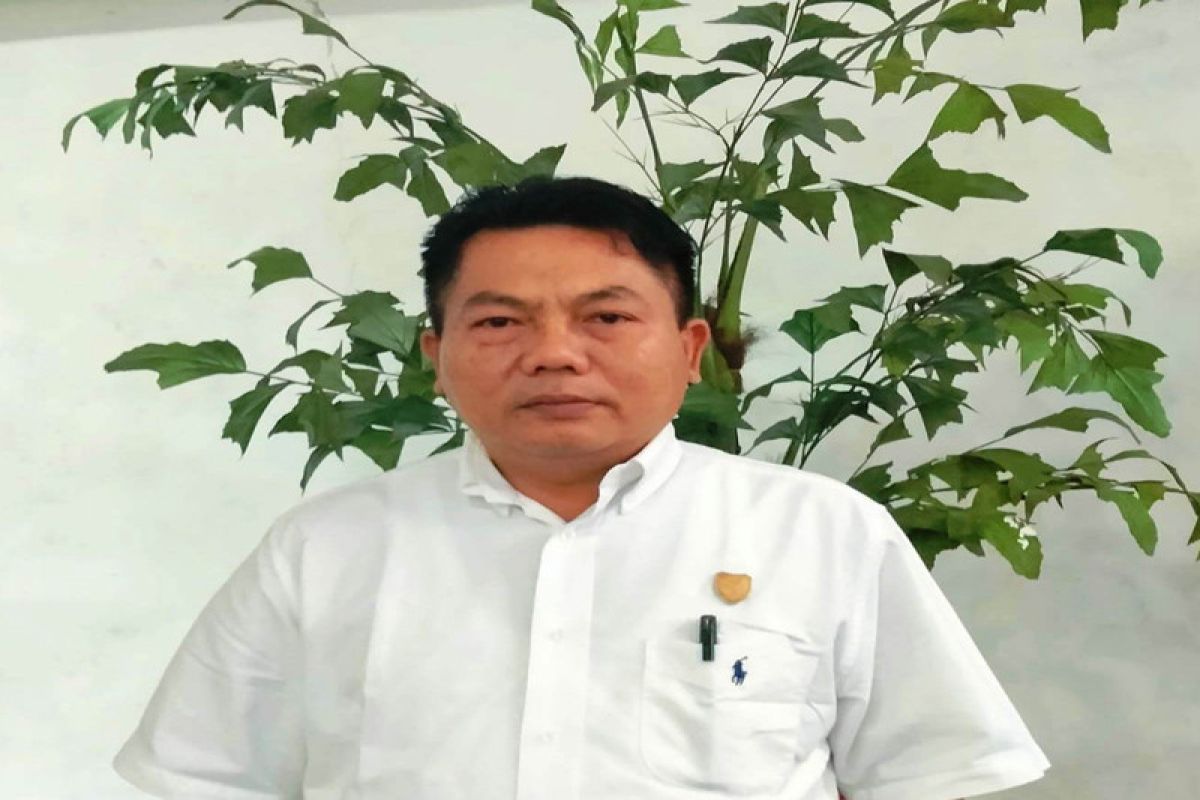 Ketua DPRD usul anggota DPR dari dapil Kalteng ditambah jadi 9