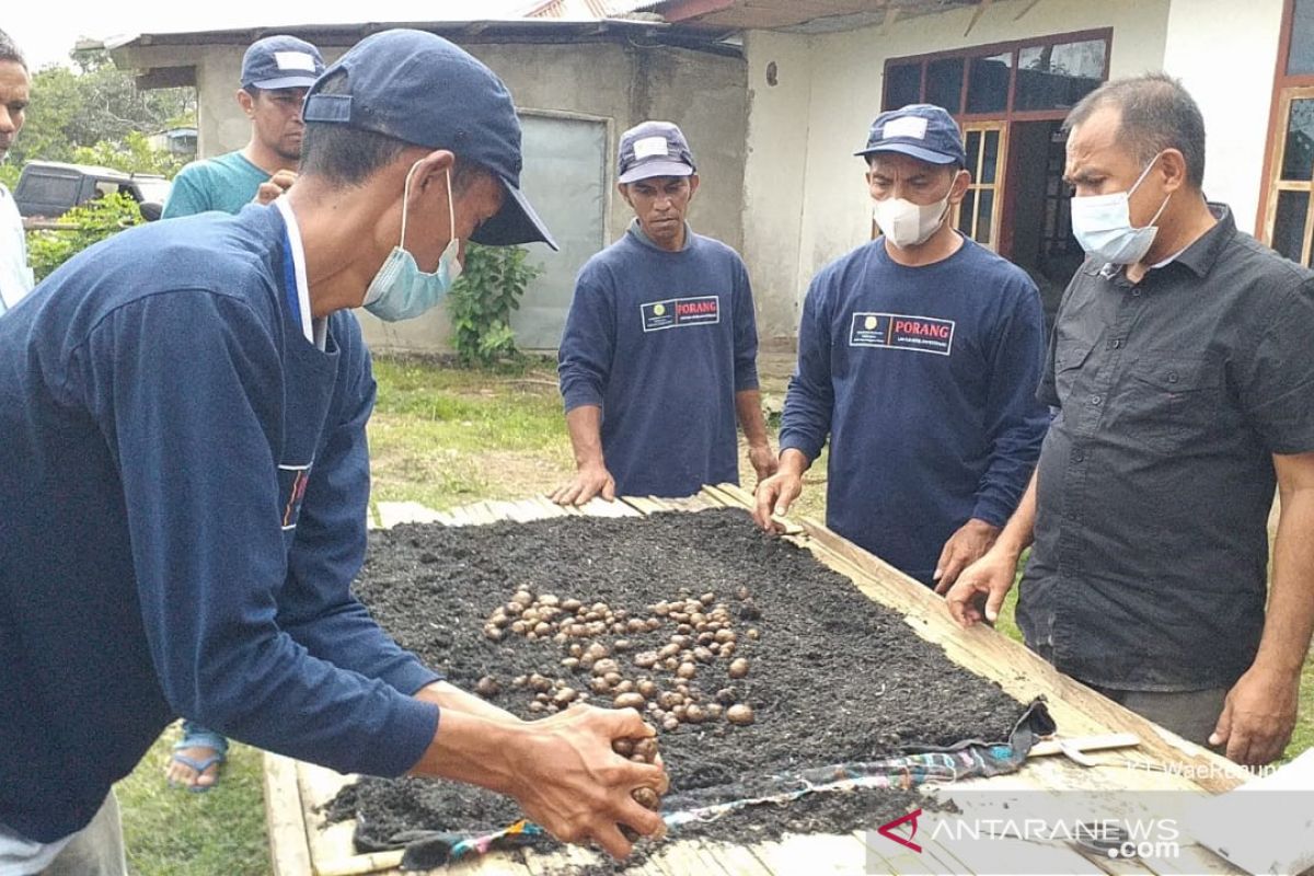 Peneliti: Hari Tani Nasional ajang promosi bagi kaum milenial