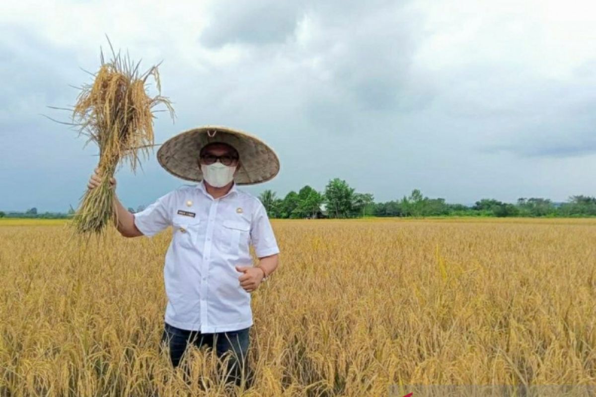 Bupati Morowali Utara:  Petani adalah penyangga tatanan negara