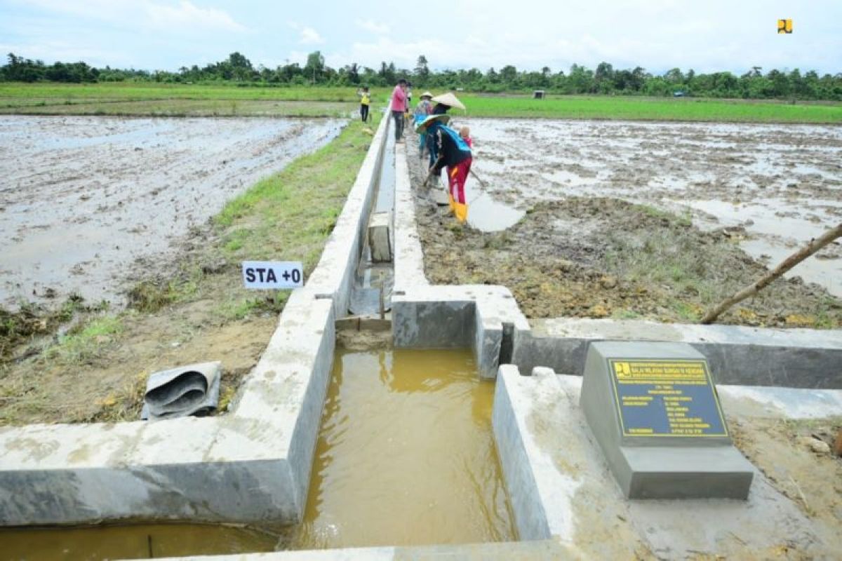 Kementerian PUPR catat realisasi padat karya tata guna irigasi capai Rp2,4 triliun