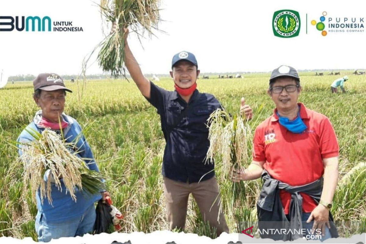 Pupuk Kujang peringati Hari Tani dengan maksimalkan program Makmur